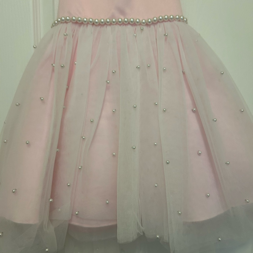 American Princess Pink Formal Dress - Picture 5 of 7